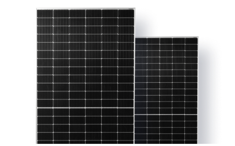 11.png