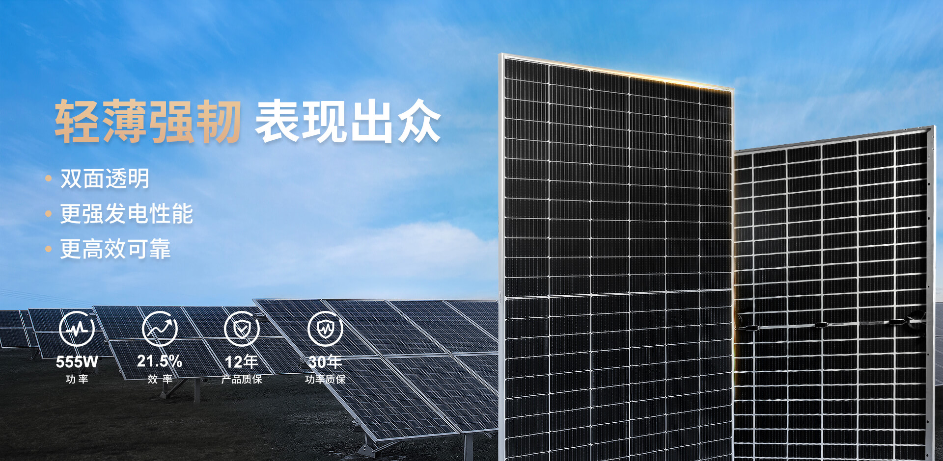 bannerbodazujianhaibaoshuangmianzhongwen.jpg